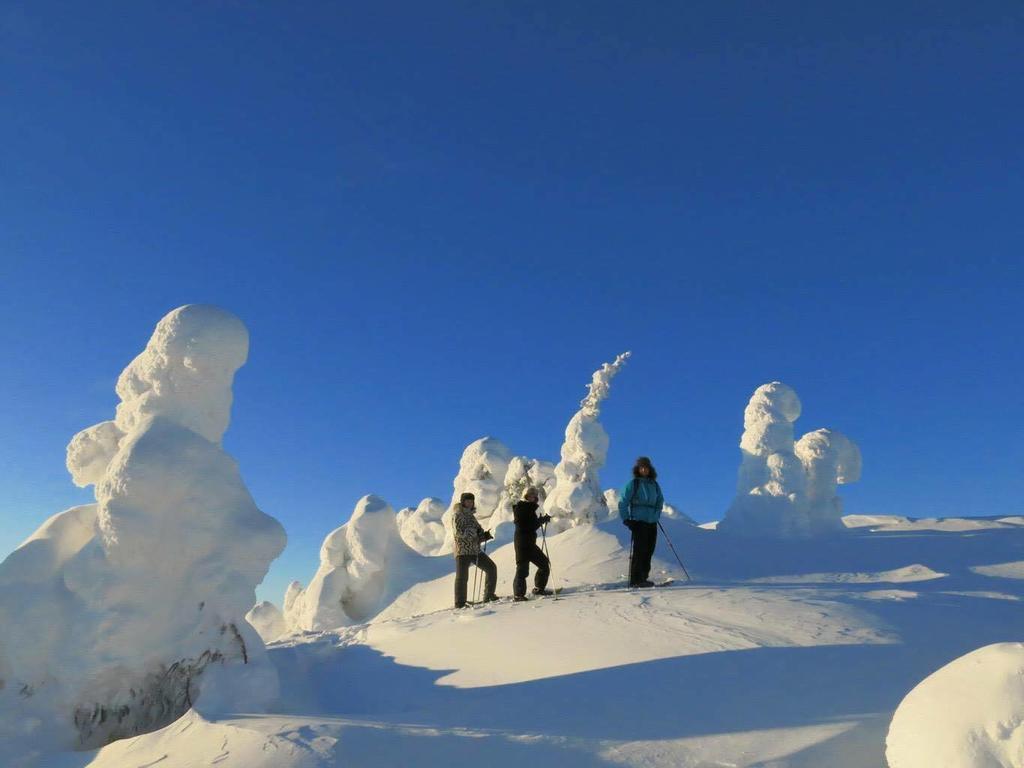 Wilderness Hotel Papin Talo Ruka Exterior foto